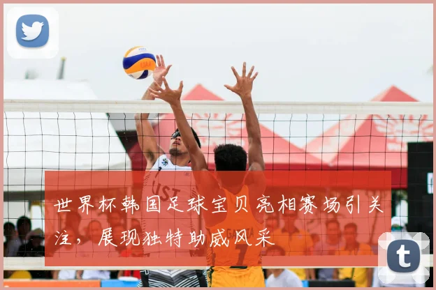 世界杯韩国足球宝贝亮相赛场引关注,展现独特助威风采