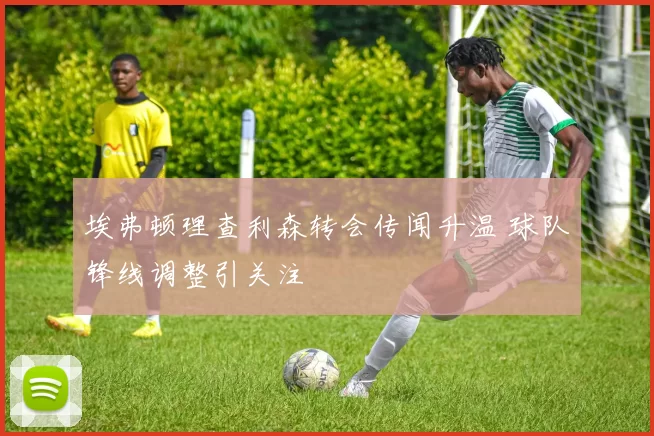 埃弗顿理查利森转会传闻升温 球队锋线调整引关注